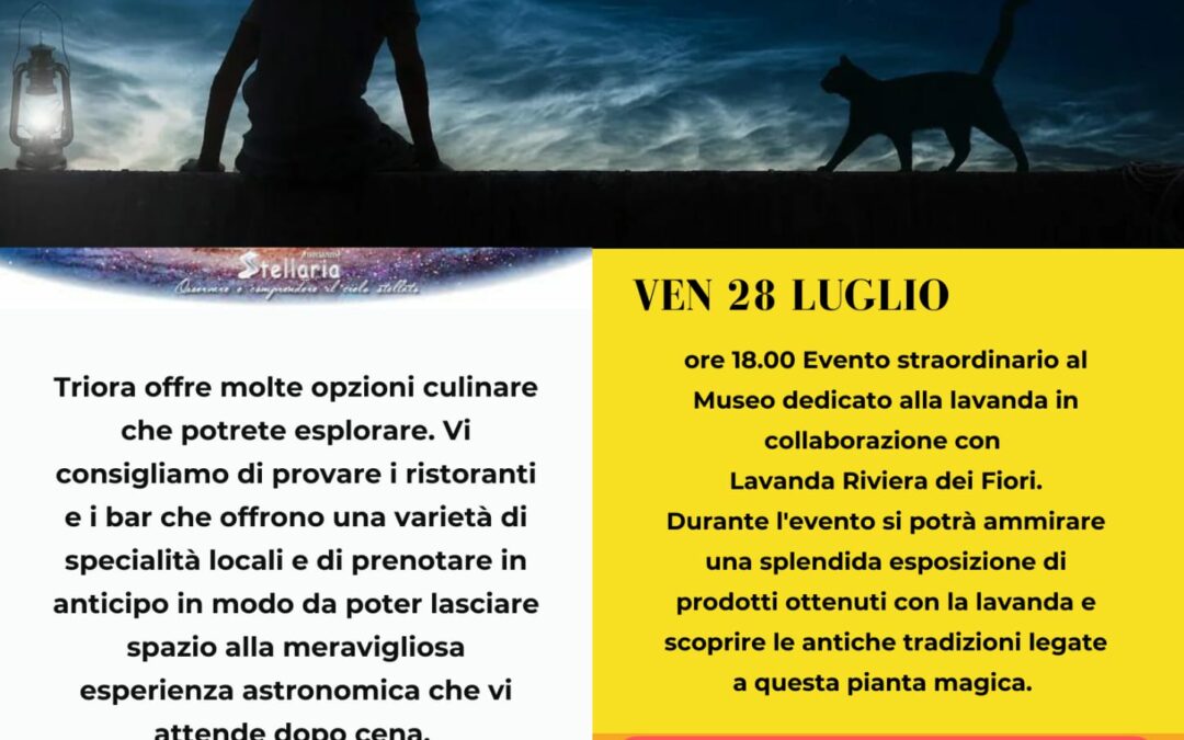 Cena sotto le stelle