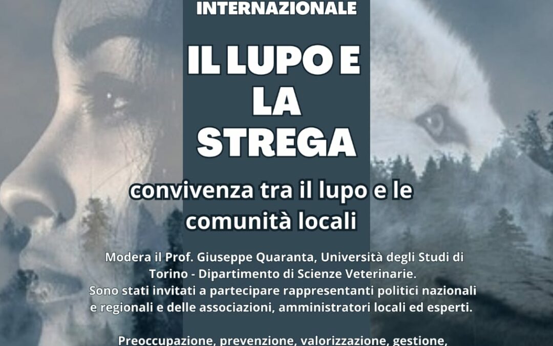 Il lupo e la strega