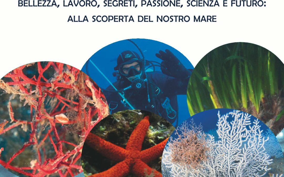 Bordighera Blu Park al Ponente International Film Festival