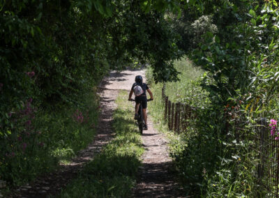 Mountain bike a Vallecrosia